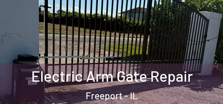 Electric Arm Gate Repair Freeport - IL