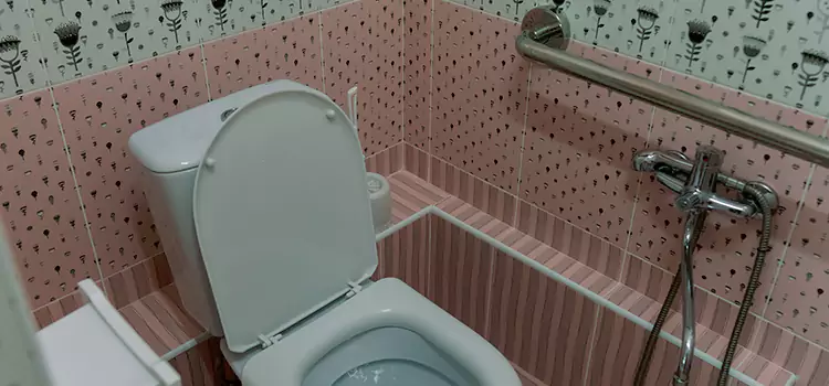 Meeting Diverse Needs With Accessible Restroom Solutions in Freeport, IL