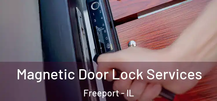 Magnetic Door Lock Services Freeport - IL